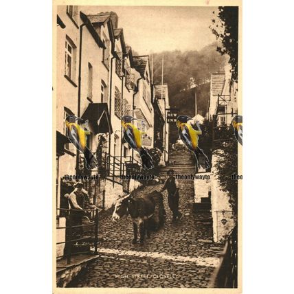 High Street, Clovelly, Devon, Rare Photogravure Postcard, 1910/20s