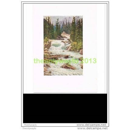 THE FALLS, ILLECILLEWAET RIVER, BC, Book Illustration, 1907