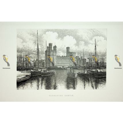 Caernarvon Castle, Wales, Book Illustration (Print), 1895