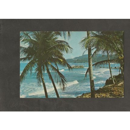 Genealogy Postcard Winn 56 Rockford Road Southend on Sea Essex