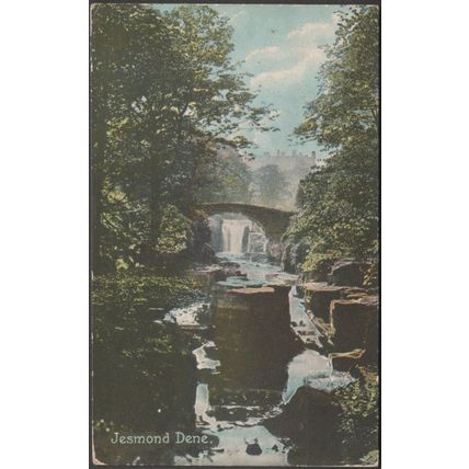 Jesmond Dene, Northumberland, 1912 - Shurey's Postcard