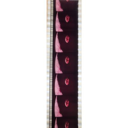 2001 A Space Odyssey. Pk GEB - A013m . 1 STRIP OF 5 - 35MM FILM CELLS