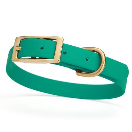 Dog Pet Collar with Brass Hardware Size S W 5/8” L 12” - 15” Teal