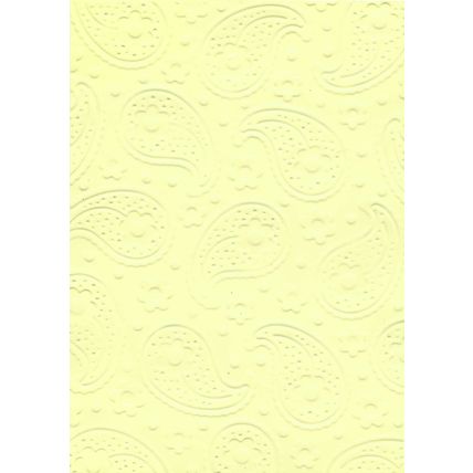 5"x7" Embossed Card. 10 Sheets. Paisley (35). Cardmaking Scrapbooking Crafts