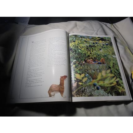 1966 British HC! The ENCHANTED FOREST! Classic Kids Book! Read!! $30.00!!