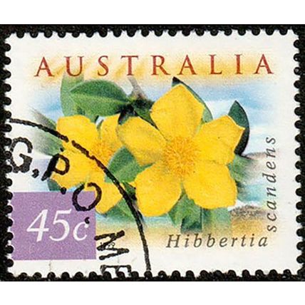 Australia 1999 Flowers 45c Used P&S Stamp Hibbertia 14.25 Perf.