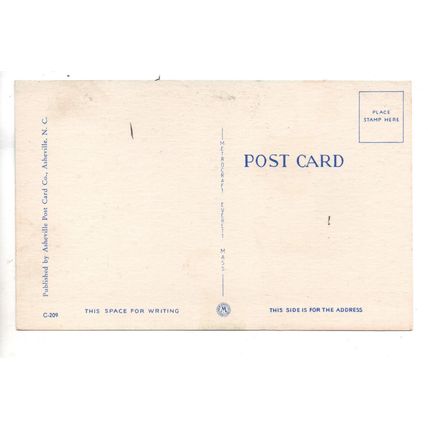 VINTAGE LINEN AMERICAN HUMOUR POSTCARD BOY GIRL MOUNTAIN THEME (3865)