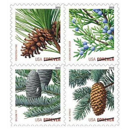 Holiday Evergreens Pane of 18 First Class Stamps Scott 4485b