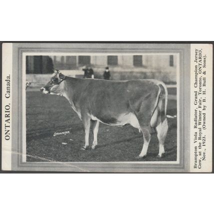 Brampton Viola Radiator, Royal Winter Fair, Toronto, 1923 - Strohmeyer Postcard