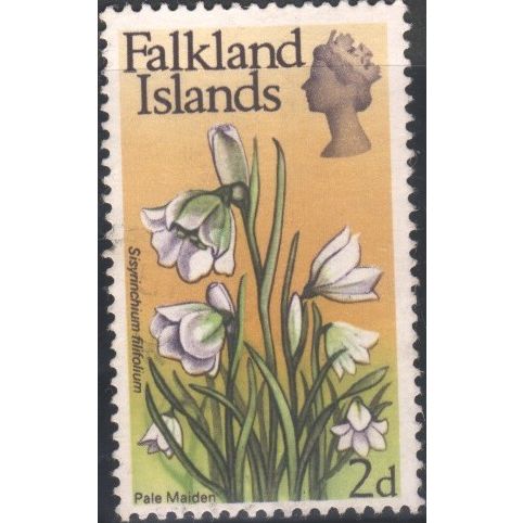 Falkland Islands 1968 - SG234 - 2d - Pale Maiden - mint no gum