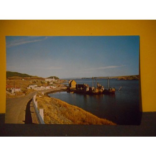 Conception Harbour,Newfoundland,Canada,Vintage Postcard