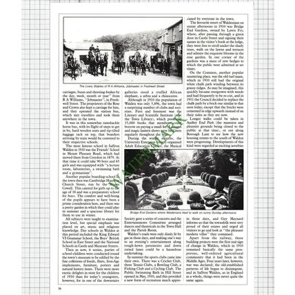 9597) Saffron Walden Essex Cro's Market Stores - c.1988 Article