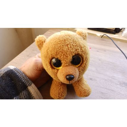 Beenie baby bear