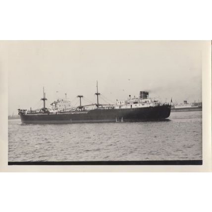 Crystal Bell South African 1950s Carrier Ship Vintage Rare Photo