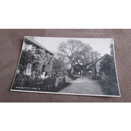 Judges Postcard - Bossington street scene - Exmoor Somerset