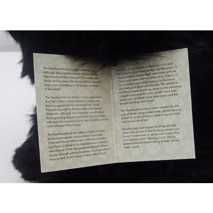 Newfoundland 12" toy dog as it is, personalised, gift wrapped, 3 options