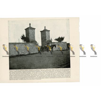 Old City Gate, St Augustine, Florida, USA, Book Illustration (Print), 1899