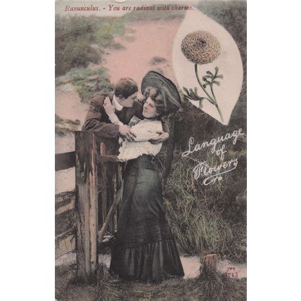Language Of Flowers Ranunculus Radical Lover With Charms Old Postcard