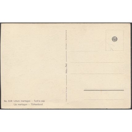 Lis Martagon - Lilium Martagon, c.1940s - Stehli CPSM
