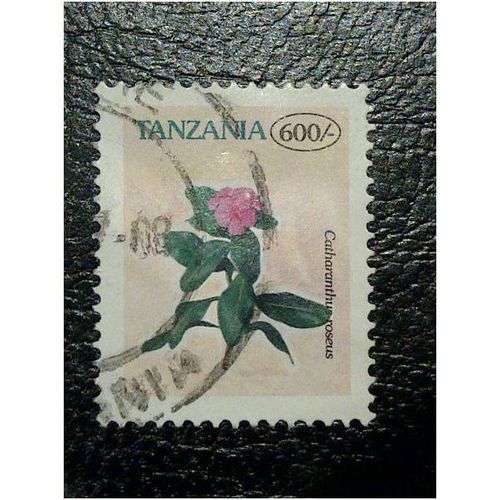 Tanzania QE11 1996 Flowers 600s Catharanthus Roseus SG 2084 Used