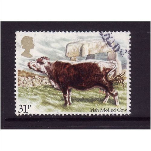 GREAT BRITAIN 1984 SG1244 31p IRISH MOILED COW FINE USED