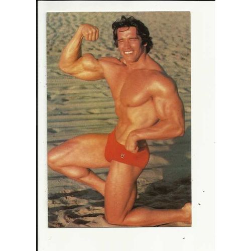 ARNOLD SCHWARZENEGGER Postcard (PC13)