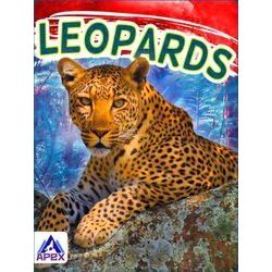 Wild Cats