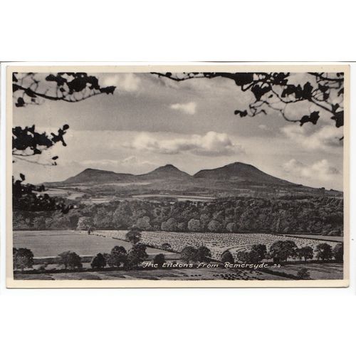 The Eildons from Bemersyde Hill RP Postcard 24