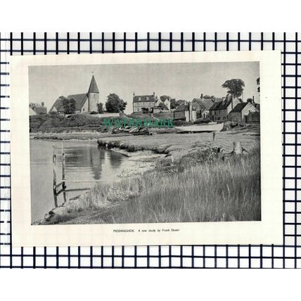 (8181) Piddinghoe Sussex - 1950 Cutting