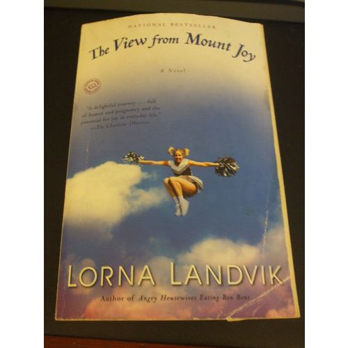 The View from Mount Joy : A Novel by Lorna Landvik (2008, Paperback)