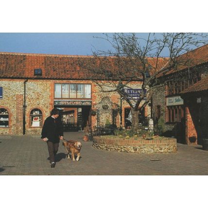 Man Walking Dog at Butlers Bakers Pantry Holt Norfolk Postcard