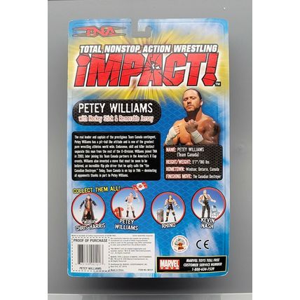 wwe tna wwf ljn classic superstars petey williams wrestling figure