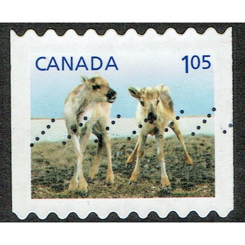 Canada 2011 Young Wildlife $1.05c Multicoloured SG2708 GU