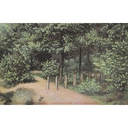Queensmere Wimbledon Common London Forest Footbath Antique Postcard