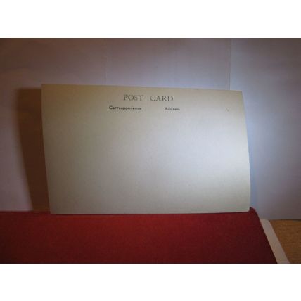 SOMEBODY'S GRAN? , antique portrait gloss photograph postcard #