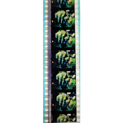 Pk DAU - B - MIX - F 0138h . - 1 STRIP OF 5 - 35MM FILM CELLS. ( )