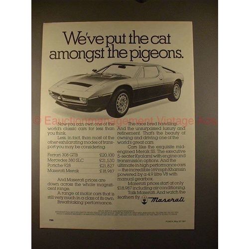1981 Maserati Merak SS Car Ad - Cat Amongst the Pigeons