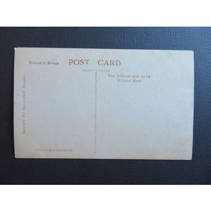 British Bulldog Vintage Postcard