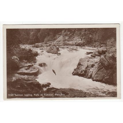 Salmon Leaping Falls of Tummel Pitlochry Perthshire RP Postcard 5185