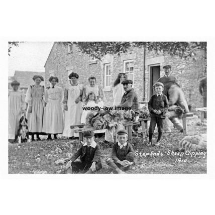 pt3949 - Sheep Clipping 1910 , Step Ends , Renfrewshire , Scotland - print 6x4