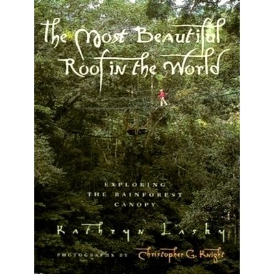 The Most Beautiful Roof in the World - Exploring the Rainforest Canopy
