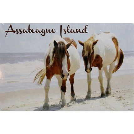Assateague Island with Horses Souvenir Playing Cards