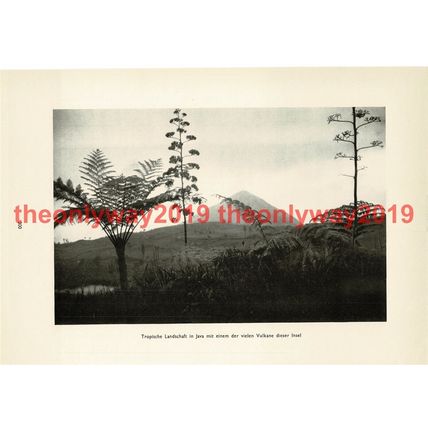 Volcanic Tropical Landscape, Java, Indonesia, Book Illustration (Print), 1935