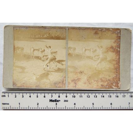 Stereoscopic Card - Spotty Deer