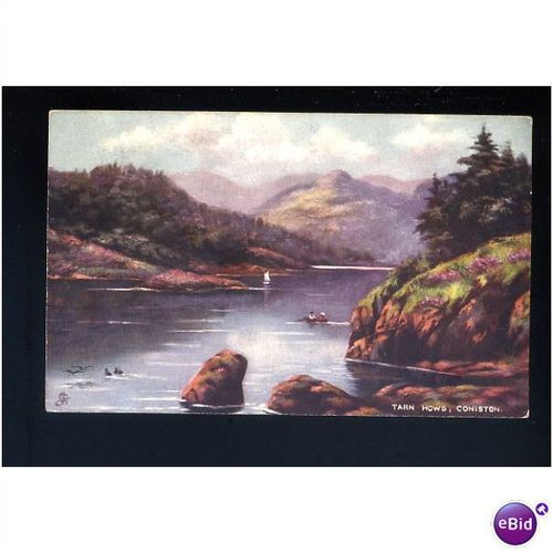 TARN HOWS, CONISTON Tuck Oilette Postcard (7123)