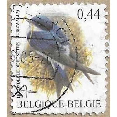 2004 - Common House Martin - 16202