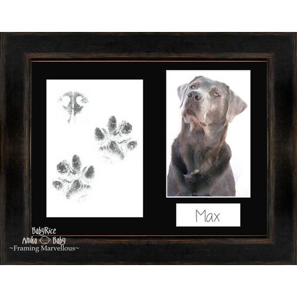 Dog Paw Printing Kit, Black Orange Photo Frame, Choose Mount Col. Memorial Gift