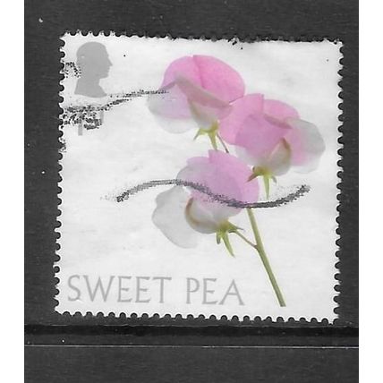 2023 Flowers - sweet pea - used