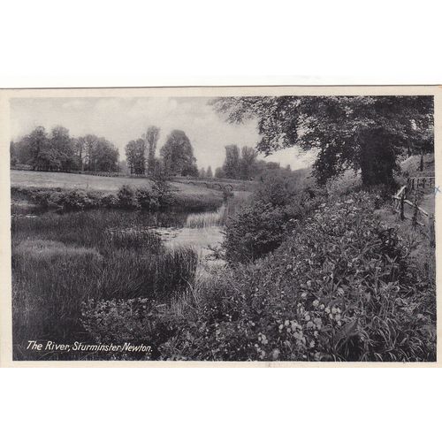 The River, Sturminster Newton Dorset Postcard (DOR75558)