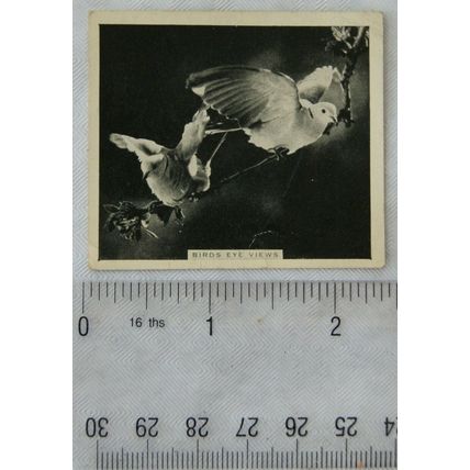1935 De Reszke Our Favourites No. 32 Birds Eye Views, doves